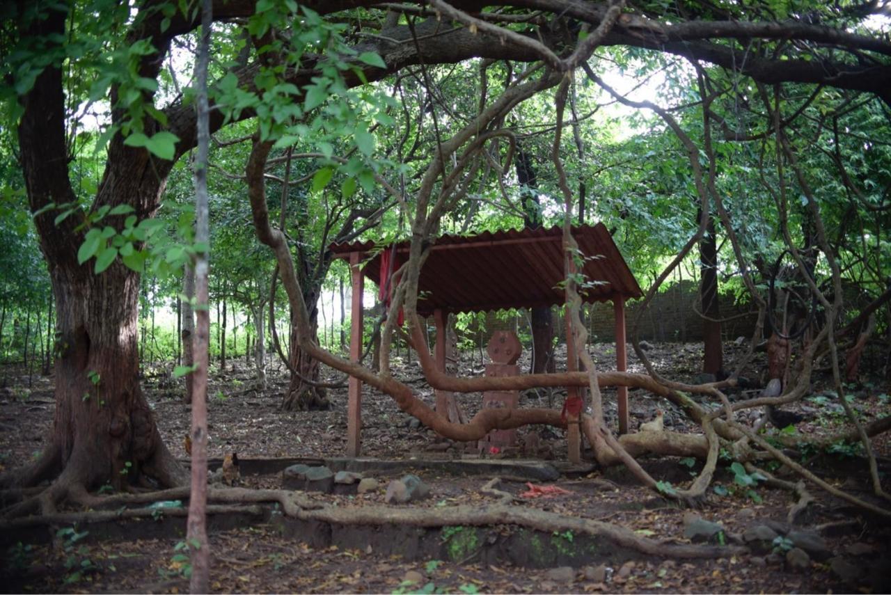 Zohra Baugh, A Green & Organic Farmhouse Stay With All Amenities Dahanu Dış mekan fotoğraf
