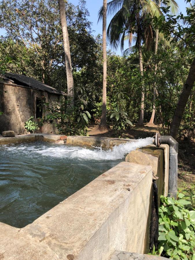 Zohra Baugh, A Green & Organic Farmhouse Stay With All Amenities Dahanu Dış mekan fotoğraf